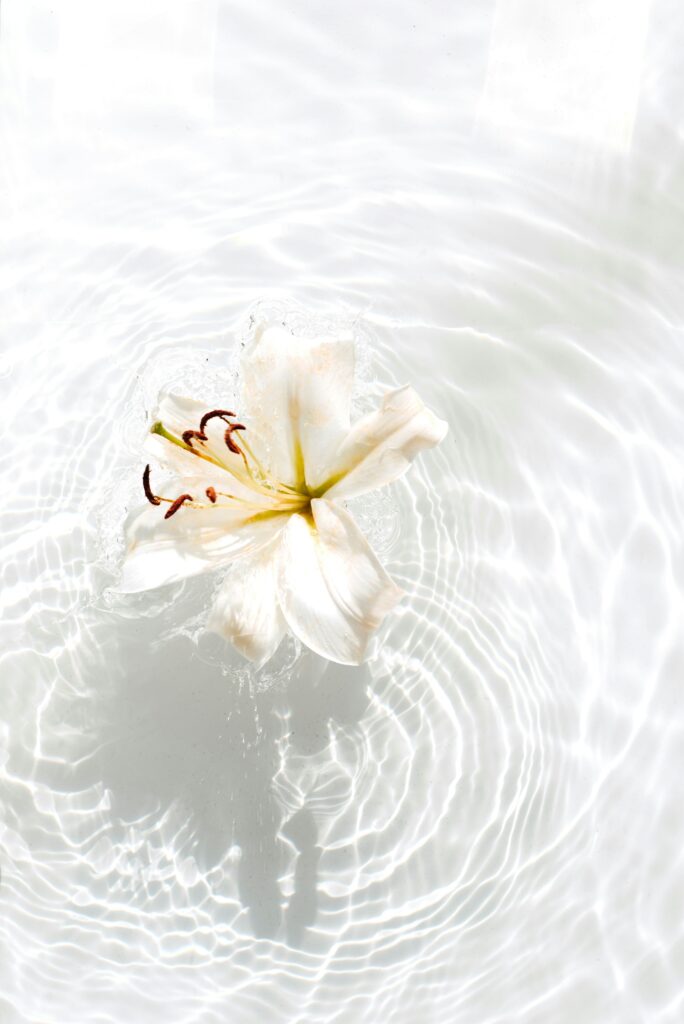 Immagine in evidenza di Hello World
